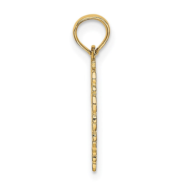 14K Yellow Gold Textured Star Of David In Heart Charm