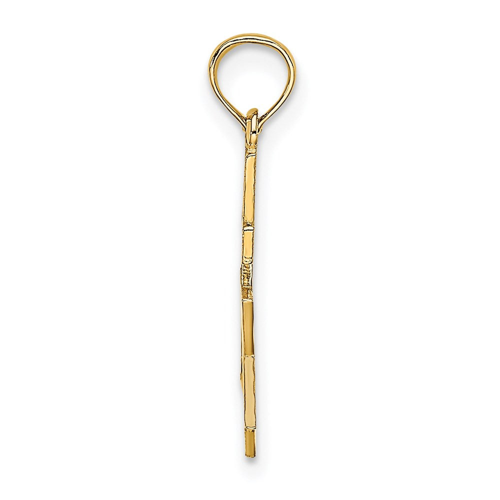 14K Yellow Gold Polished / Engraved Star Of David And Cross Charm