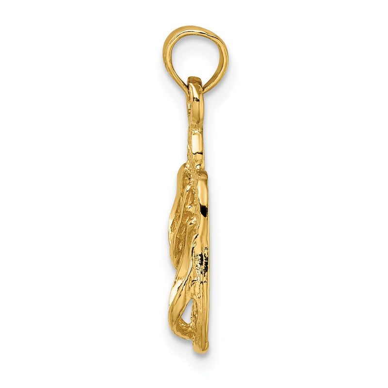14K Yellow Gold 3D Pawleys Island Double Flip-Flop Charm