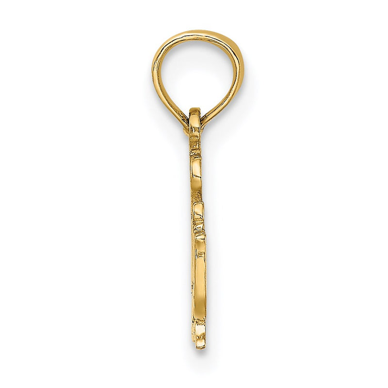 14K Yellow Gold Polished I Heart Swimming Charm