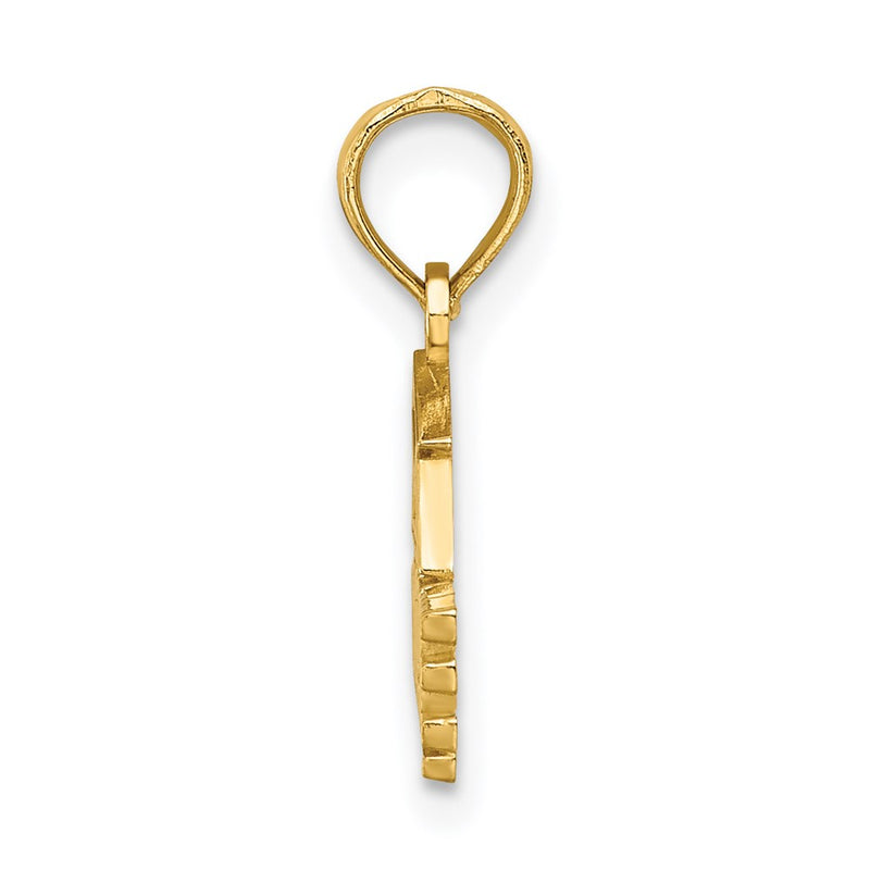 14K Yellow Gold Polished Graduate Under Cap Charm