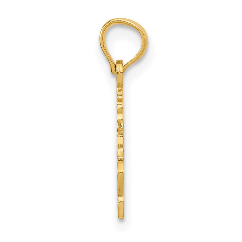 14K Yellow Gold Polished #1 Sis Charm