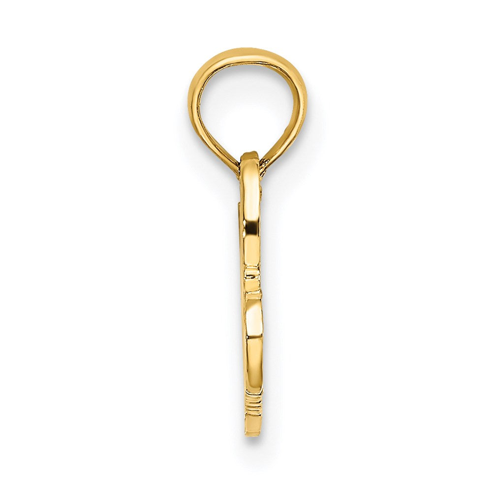 14K Yellow Gold 100% Hawaiian Charm