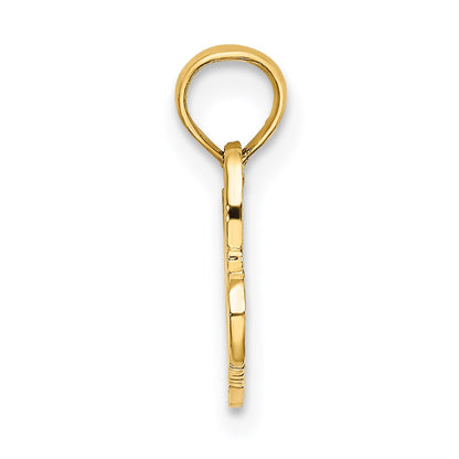 14K Yellow Gold 100% Hawaiian Charm