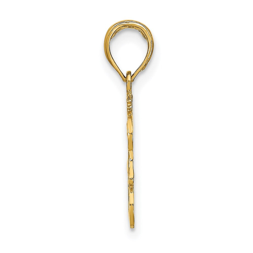 14K Yellow Gold Leo Zodiac Charm