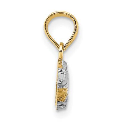 14K Yellow & Rhodium W/Rhodium 2-D Alligator Charm