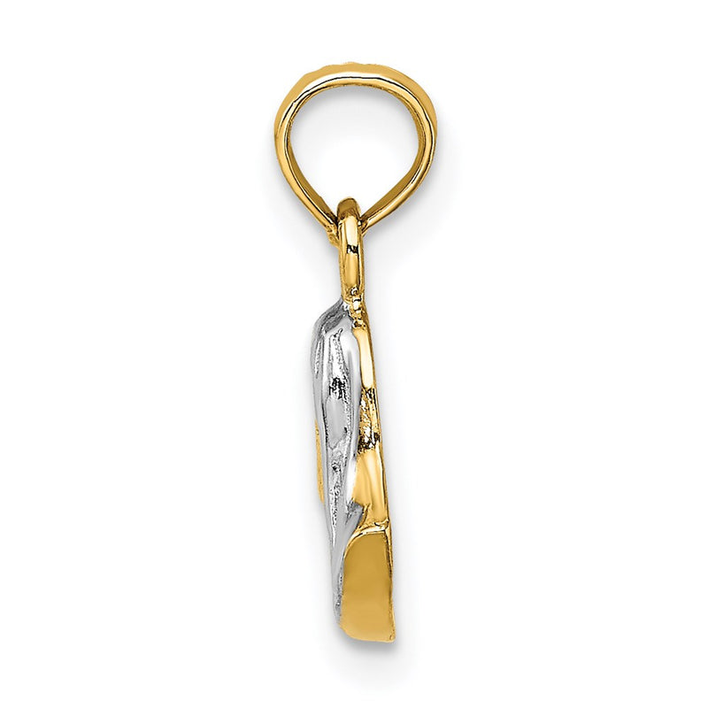 14K Yellow & Rhodium W/ Mary Mother Of Jesus Charm