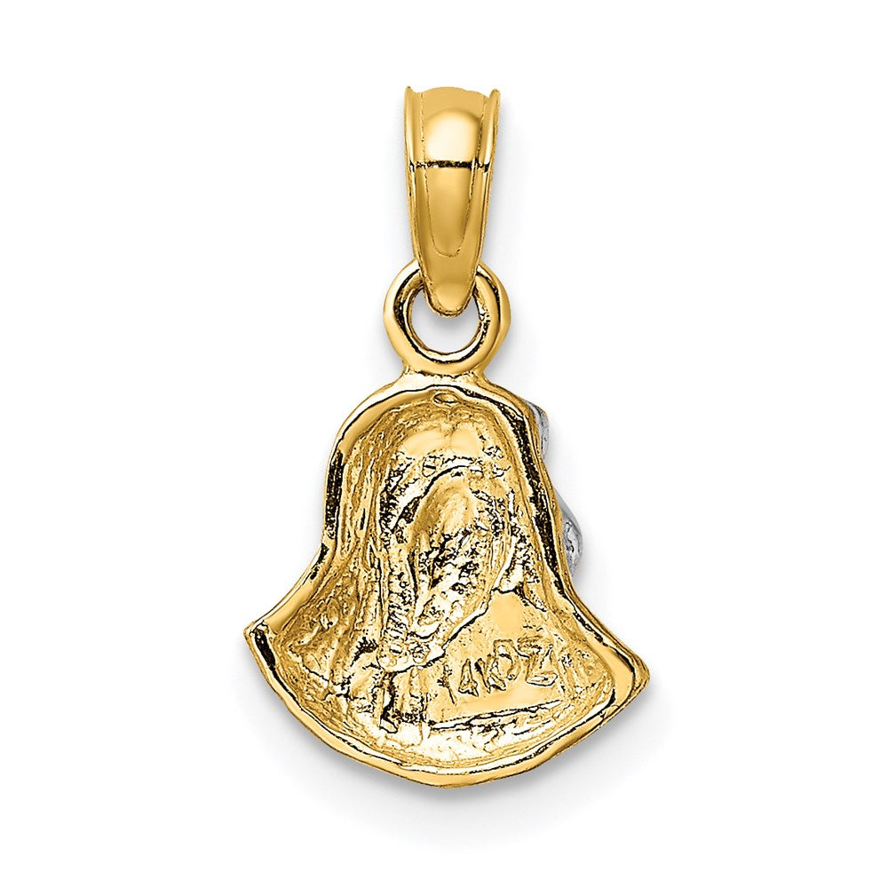 14K Yellow & Rhodium W/ Mary Mother Of Jesus Charm