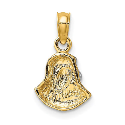 14K Yellow & Rhodium W/ Mary Mother Of Jesus Charm