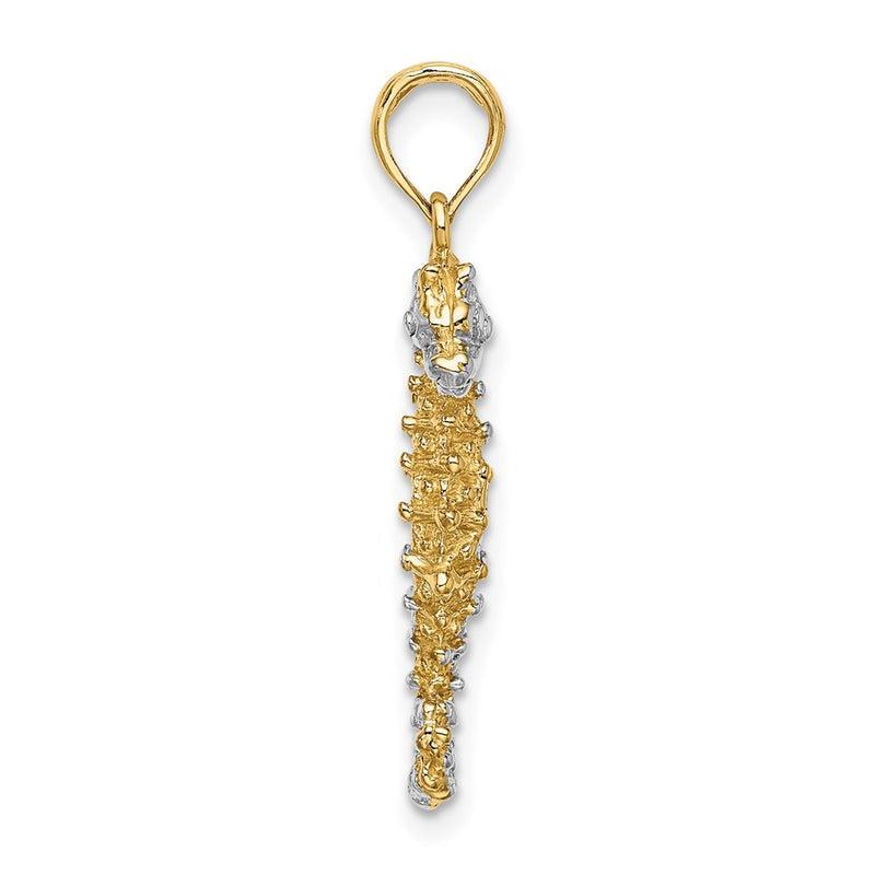 14k Yellow & Rhodium Gold with White Rhodium 3-D Seahorse Charm