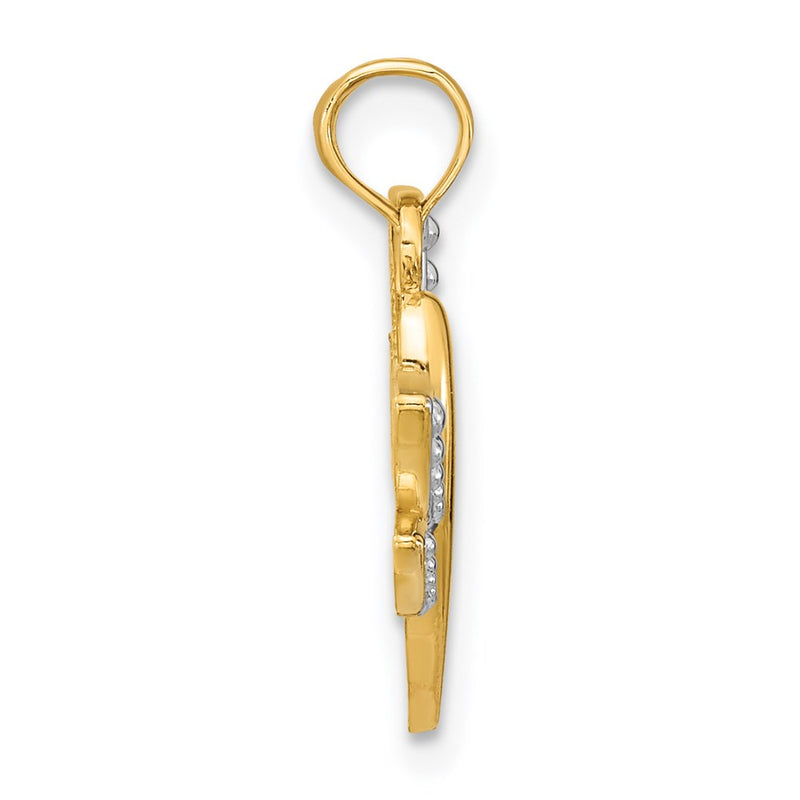 14K Yellow & Rhodium W/Rhodium Textured Dragonfly Charm