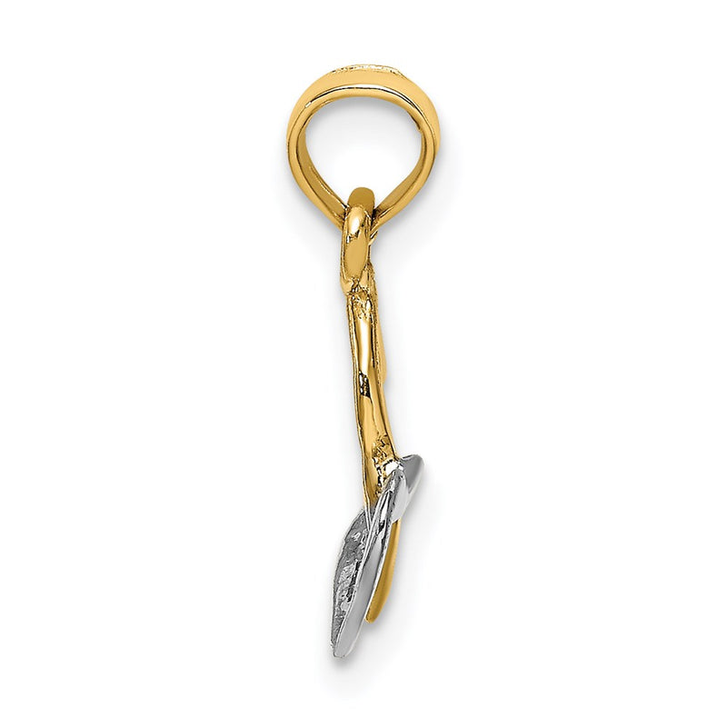 14K Two-Tone Polished Hearts Interwined Charm