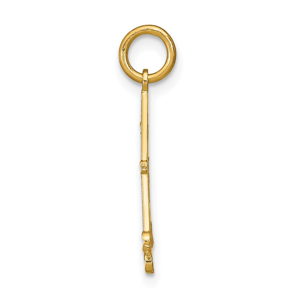 14K Yellow & Rhodium W/Rhodium D/C Chandellier Charm