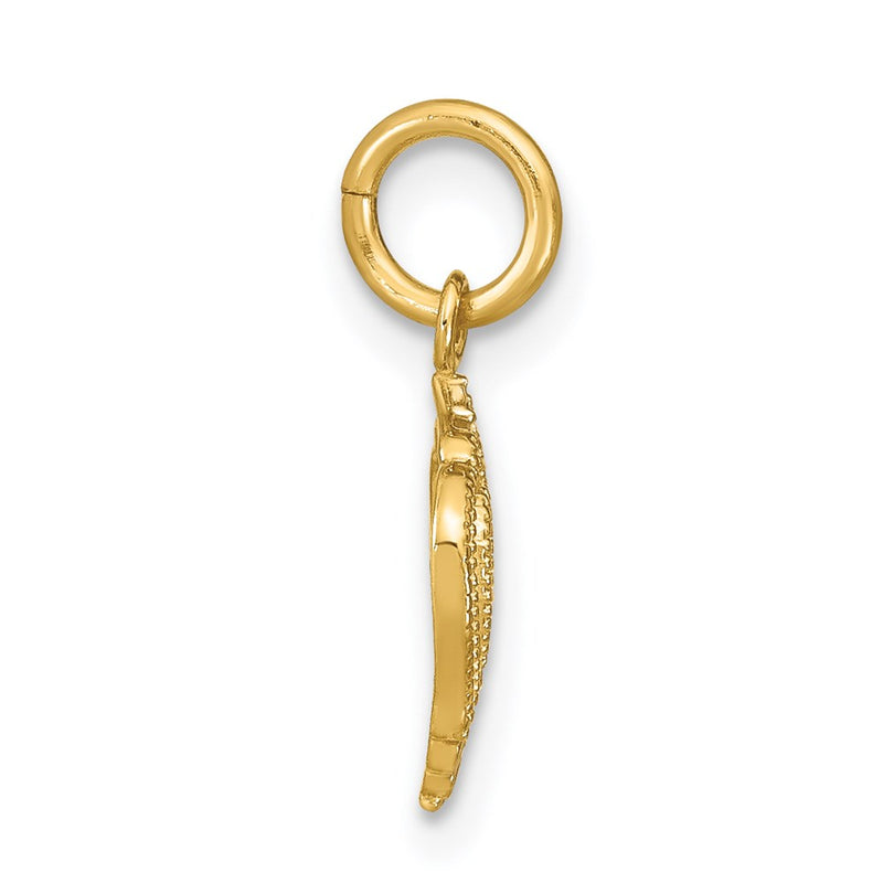14K Yellow & Rhodium W/Rhodium Mini Heart Charm