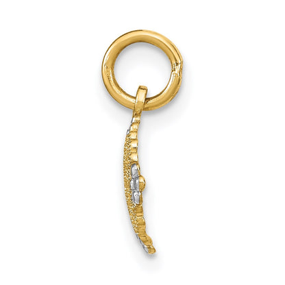 14K Yellow & Rhodium W/Rhodium D/C Mini Filigree Medallion Charm