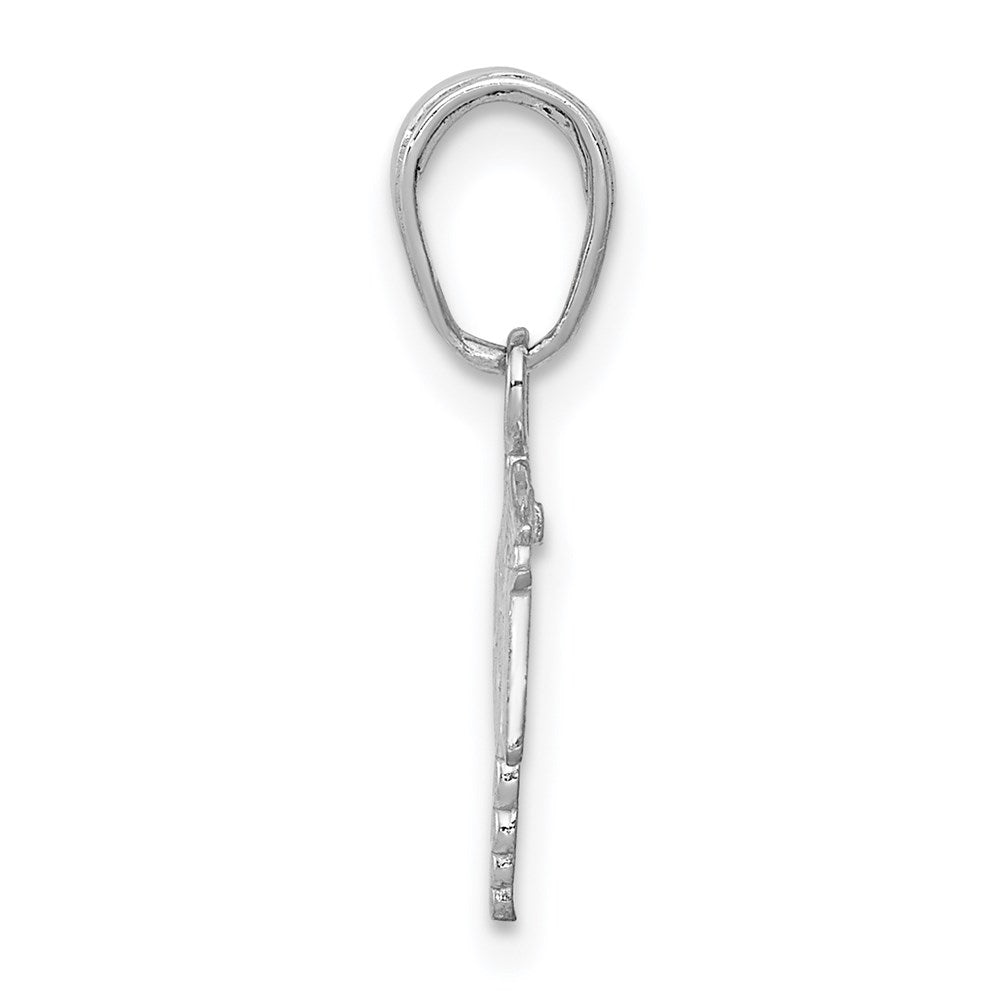 14K White Gold Textured Rn Caduceus Charm