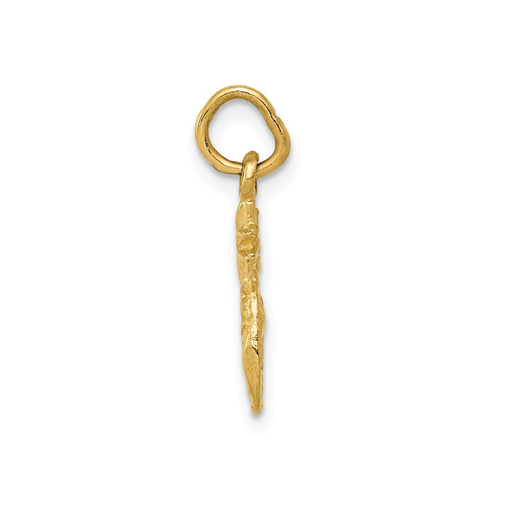 14K Yellow Gold Polished Pineapple Charm