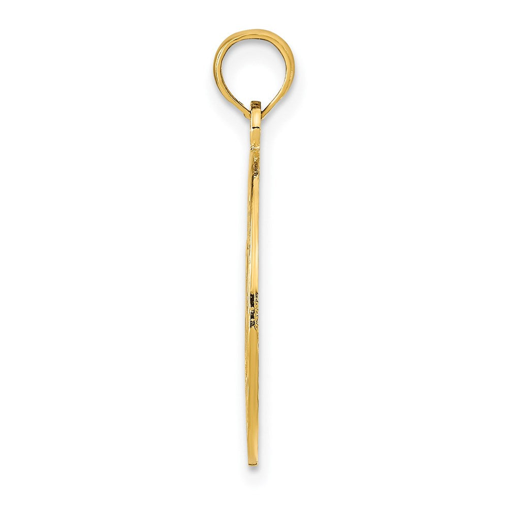 14K Yellow Gold Marco Island With Dolphins Circle Pendant