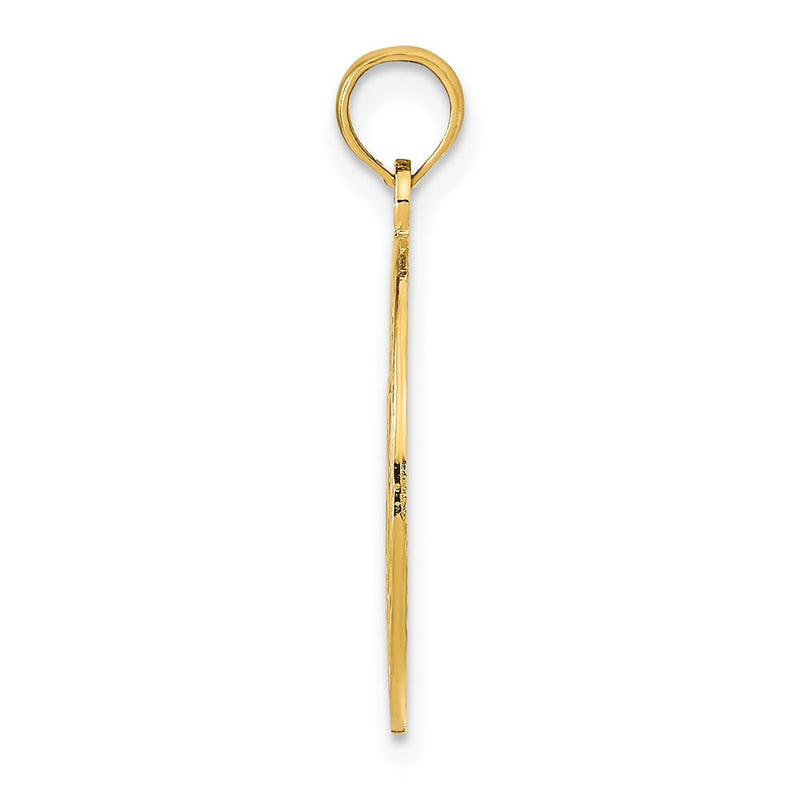 14K Yellow Gold Marco Island With Dolphins Circle Pendant