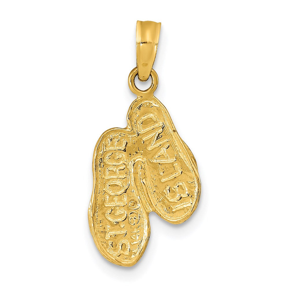 14K Yellow Gold St. George Island Reversible Flip Flops Pendant