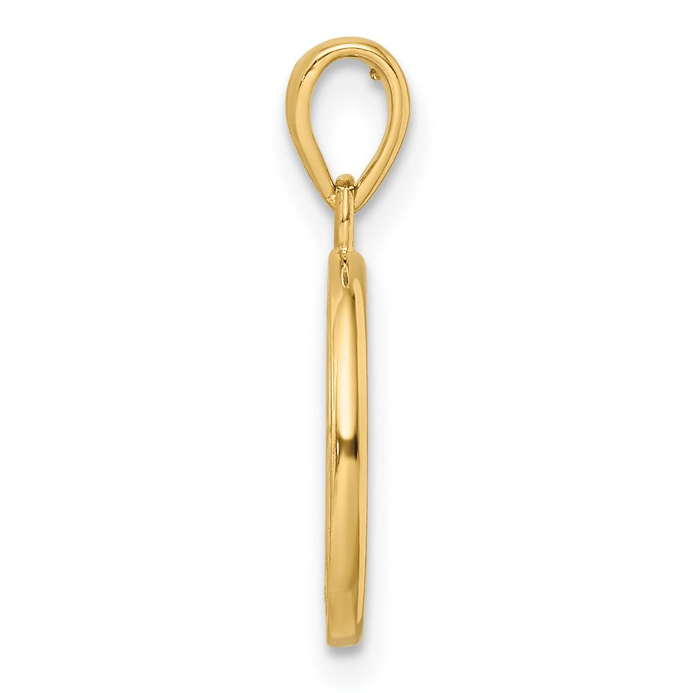 14K Yellow Gold Polished Tree Of Life Circle Pendant