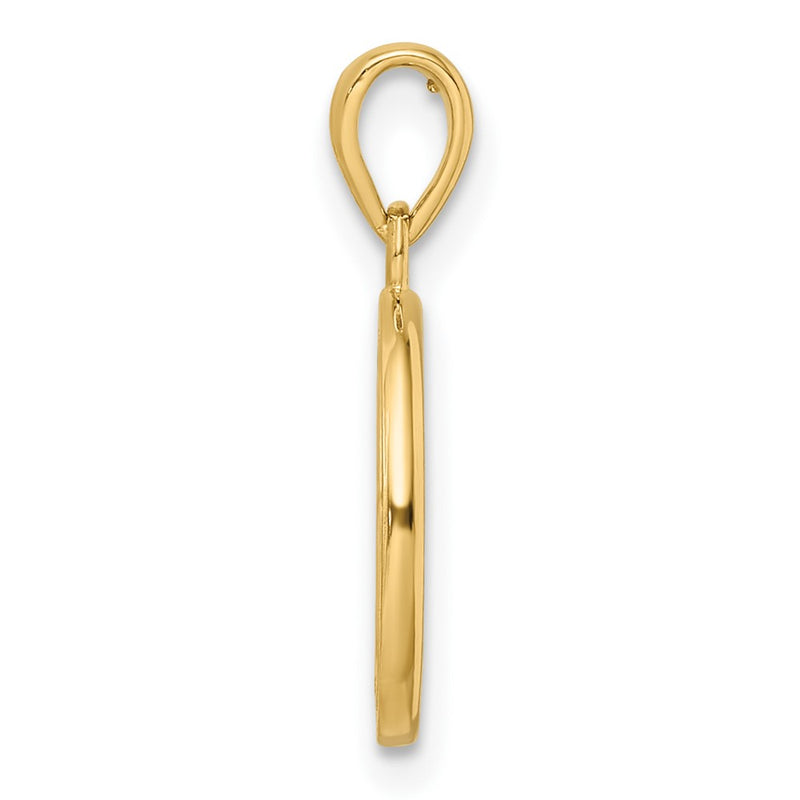 14K Yellow Gold Polished Tree Of Life Circle Pendant