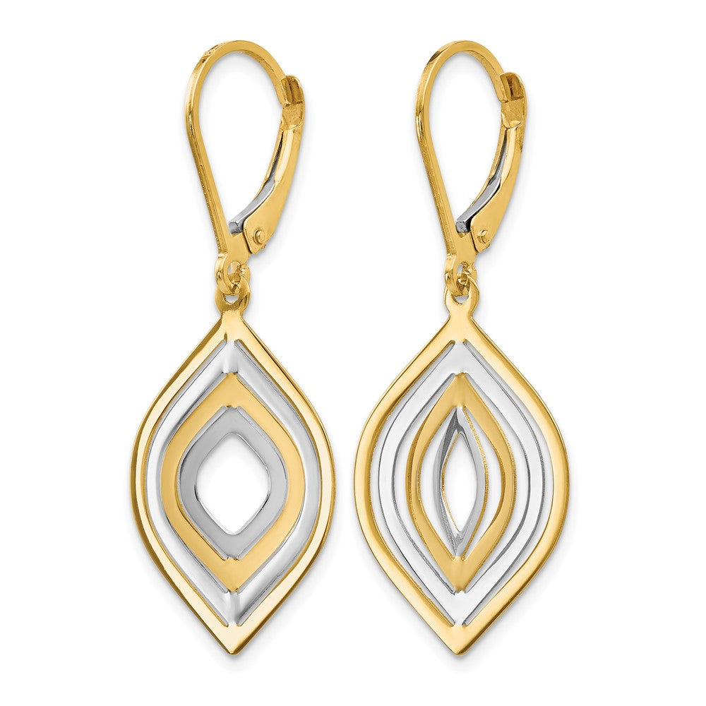 14K Yellow & Rhodium With Polished Leverback Earrings