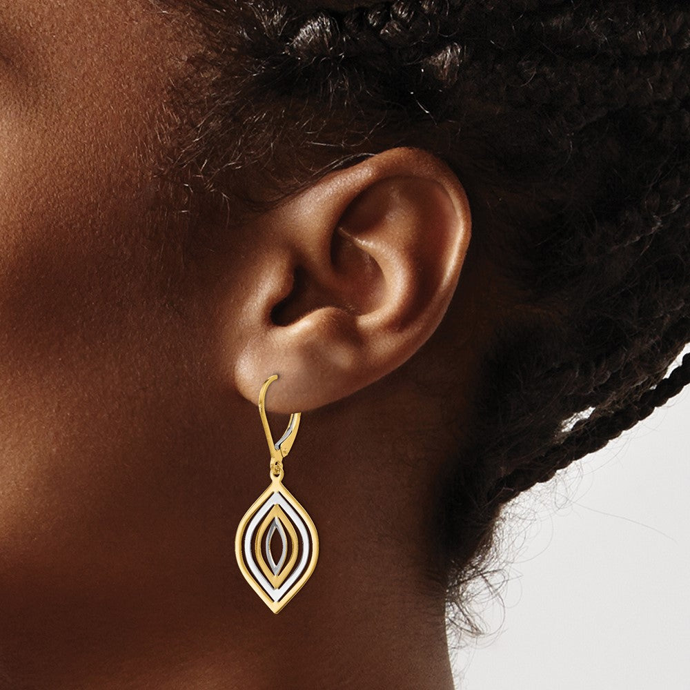 14K Yellow & Rhodium With Polished Leverback Earrings