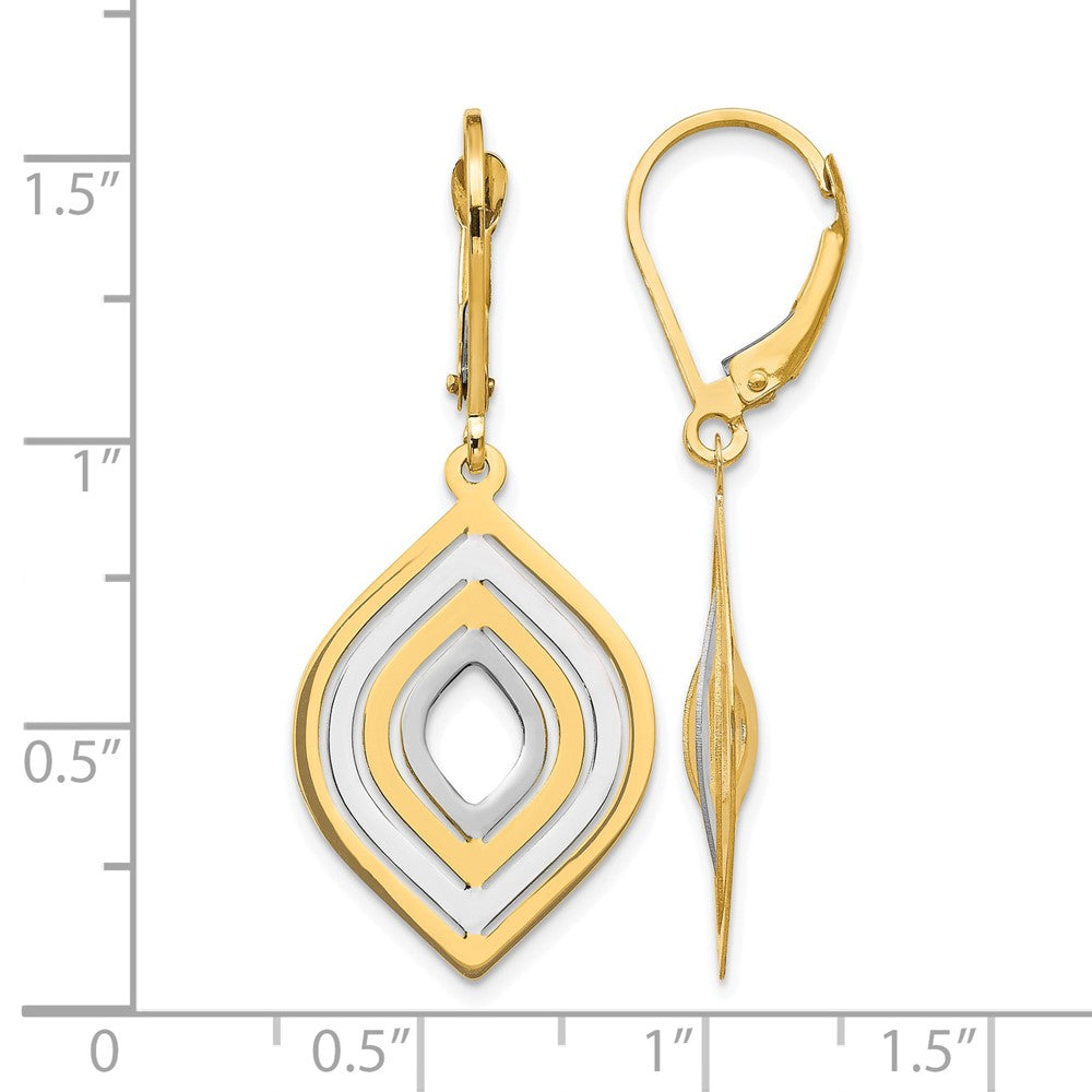 14K Yellow & Rhodium With Polished Leverback Earrings