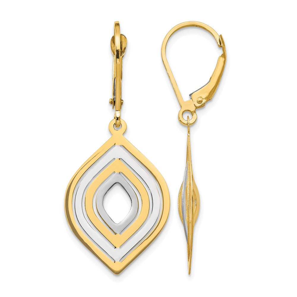 14K Yellow & Rhodium With Polished Leverback Earrings