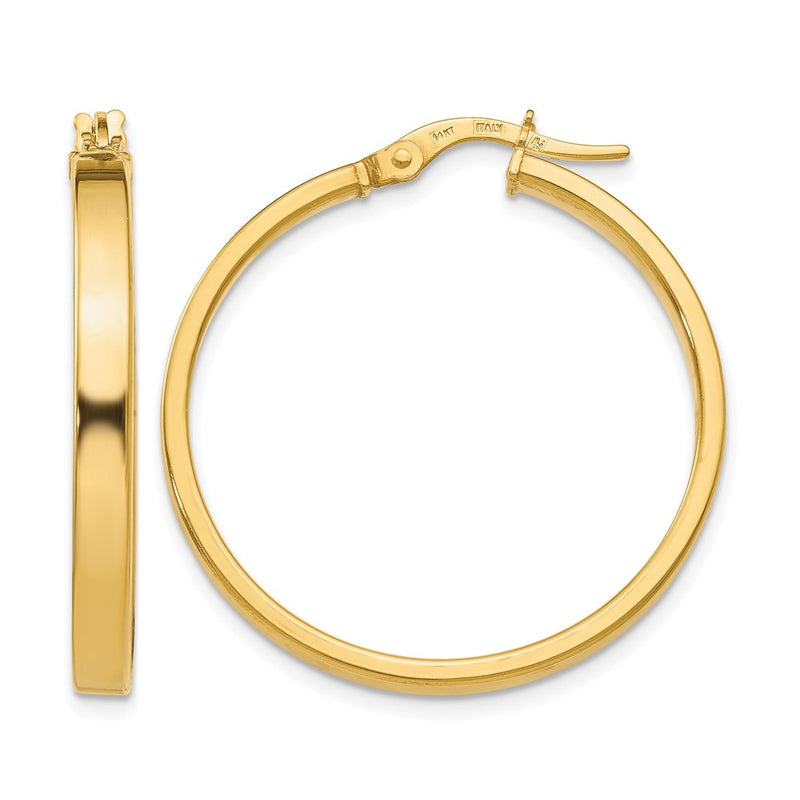14K Yellow Gold Polished Earrings