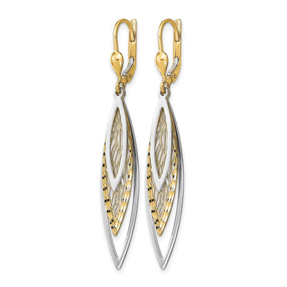 14K Two-Tone Polished D/c Leverback Earrings