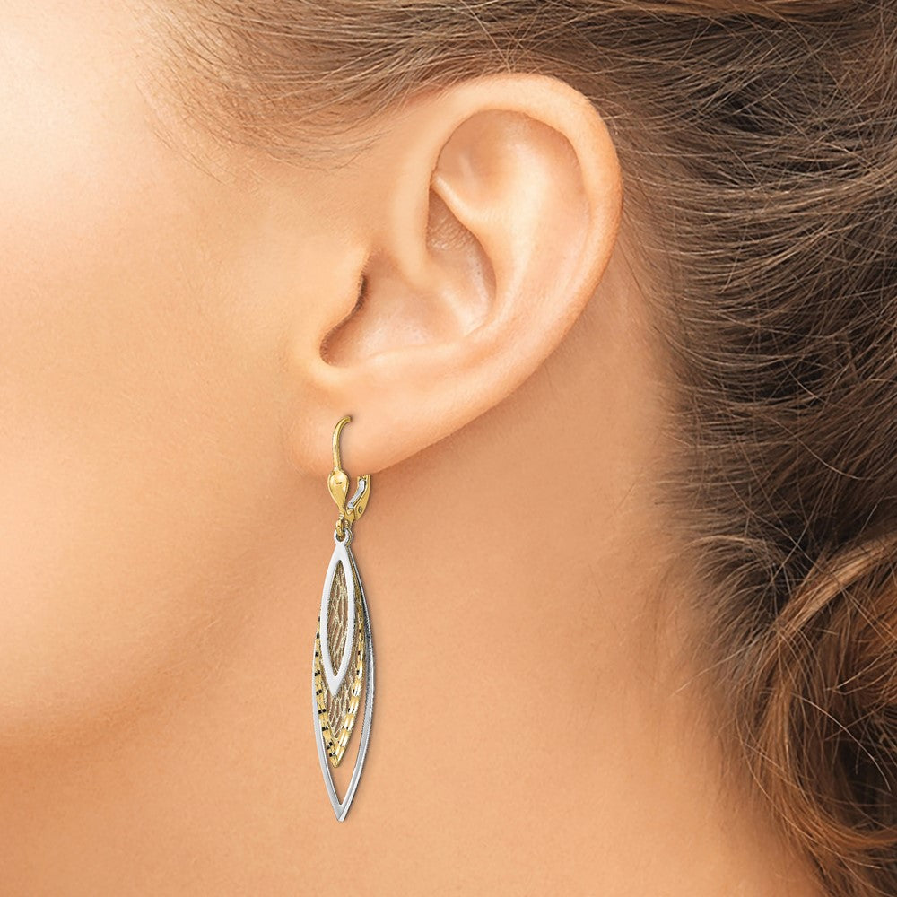 14K Two-Tone Polished D/c Leverback Earrings