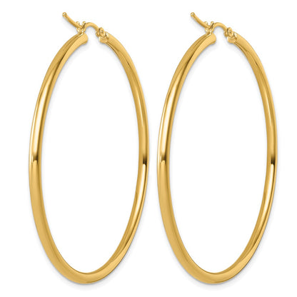 14K Yellow Gold Polished 2.5mm Hoop Earrings