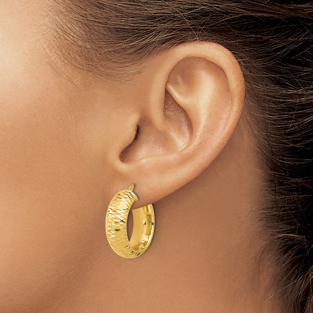 14K Yellow Gold Polished And D/C Half Round Circle Hoop Earrings