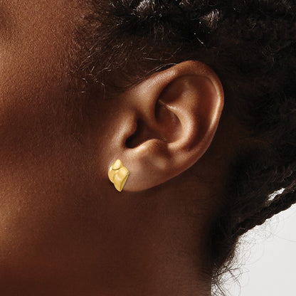 14K Yellow Gold Polished And Brushed Fancy Post Earrings