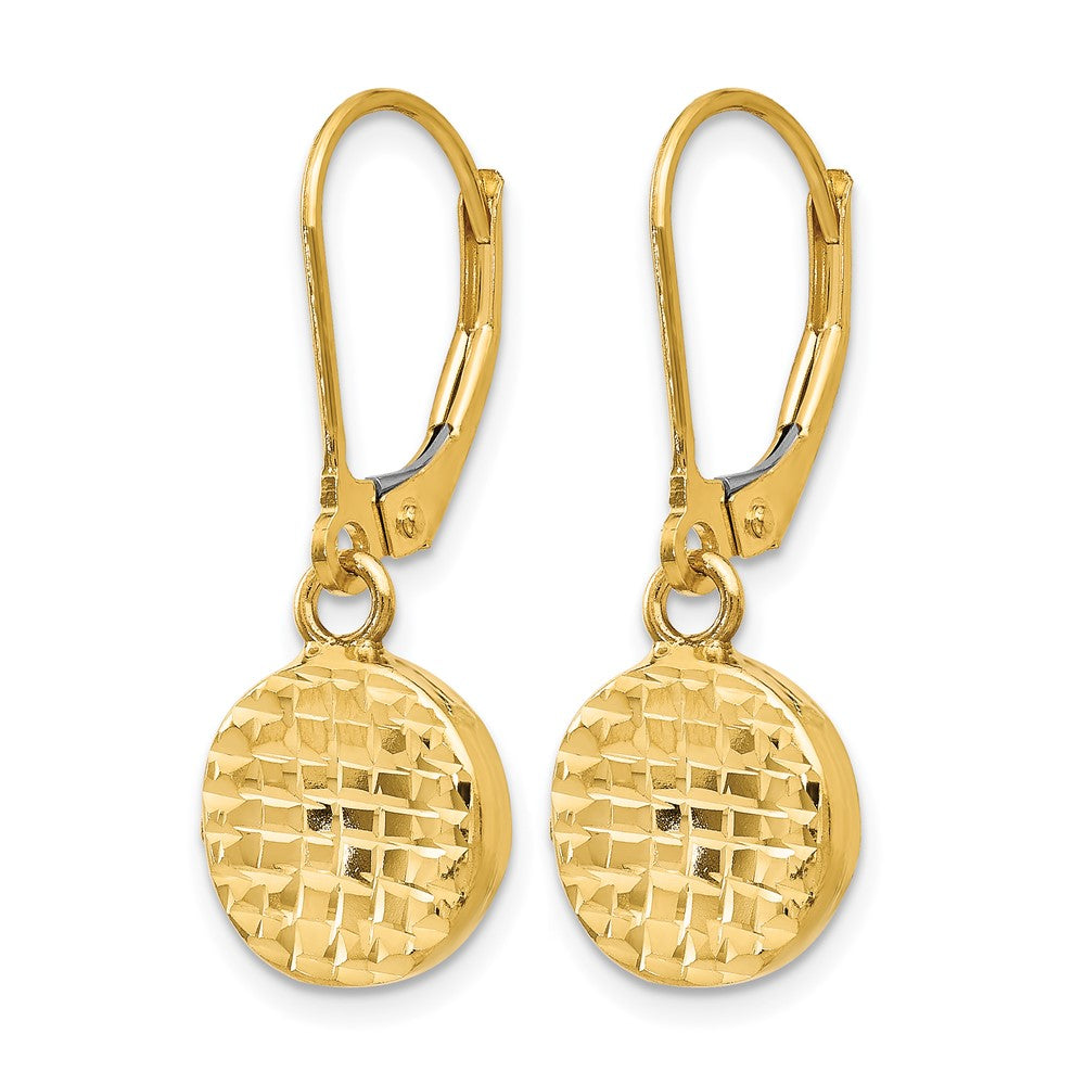 14K Yellow Gold Polished D/C Leverback Earrings