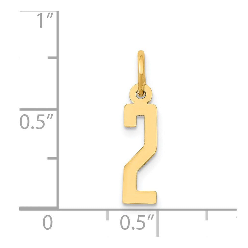 14K Yellow Gold Small Elongated Number 2 Charm