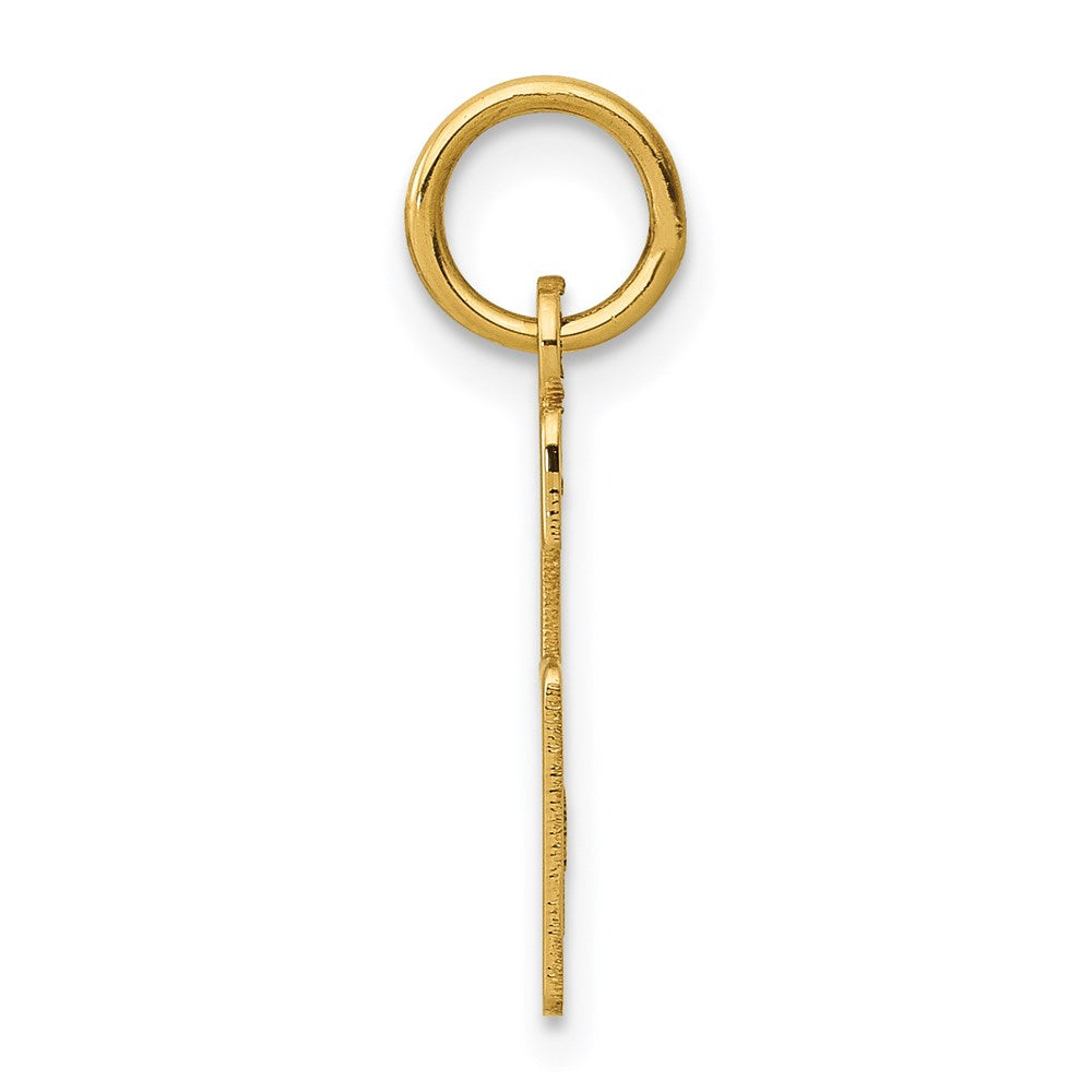 14K Yellow Gold Small Elongated Number 6 Charm