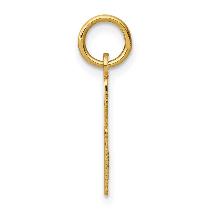 14K Yellow Gold Small Elongated Number 6 Charm