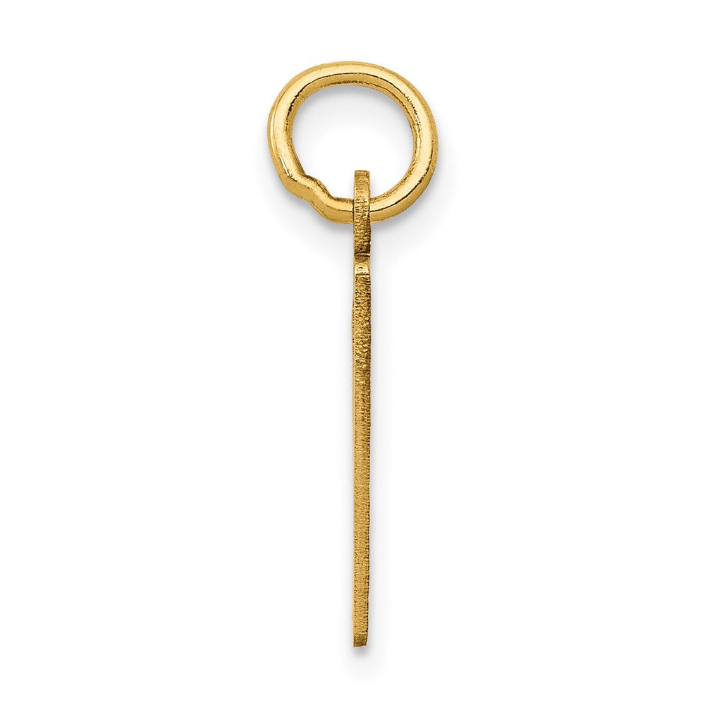 14K Yellow Gold Small Elongated Number 9 Charm