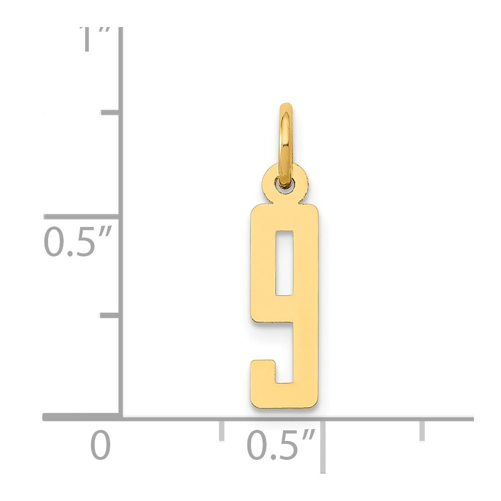14K Yellow Gold Small Elongated Number 9 Charm