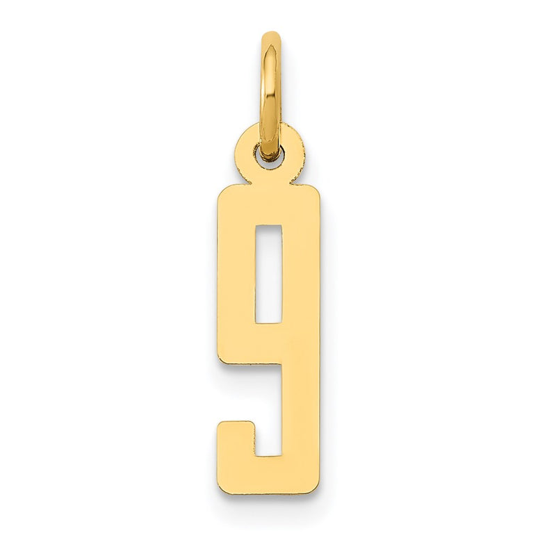 14K Yellow Gold Small Elongated Number 9 Charm