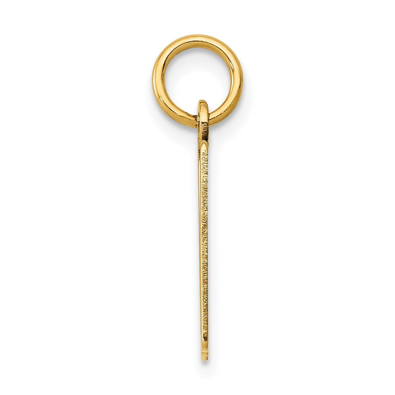 14K Yellow Gold Small Elongated Number 10 Charm