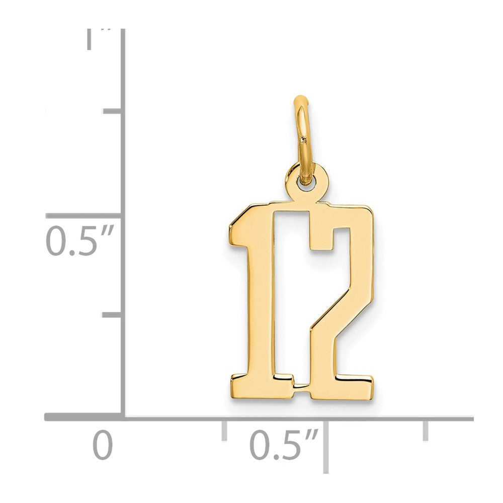 14K Yellow Gold Small Elongated Number 12 Charm