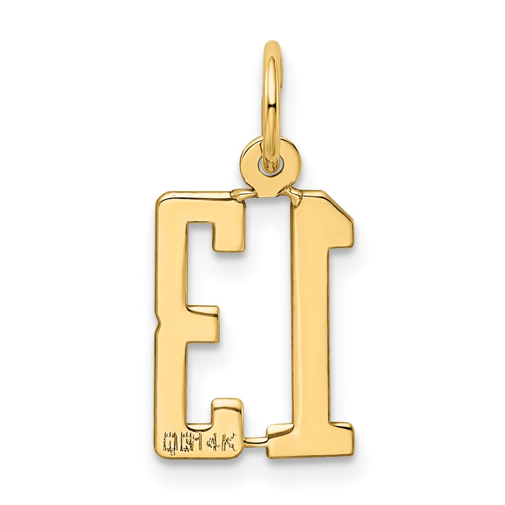 14K Yellow Gold Small Elongated Number 13 Charm