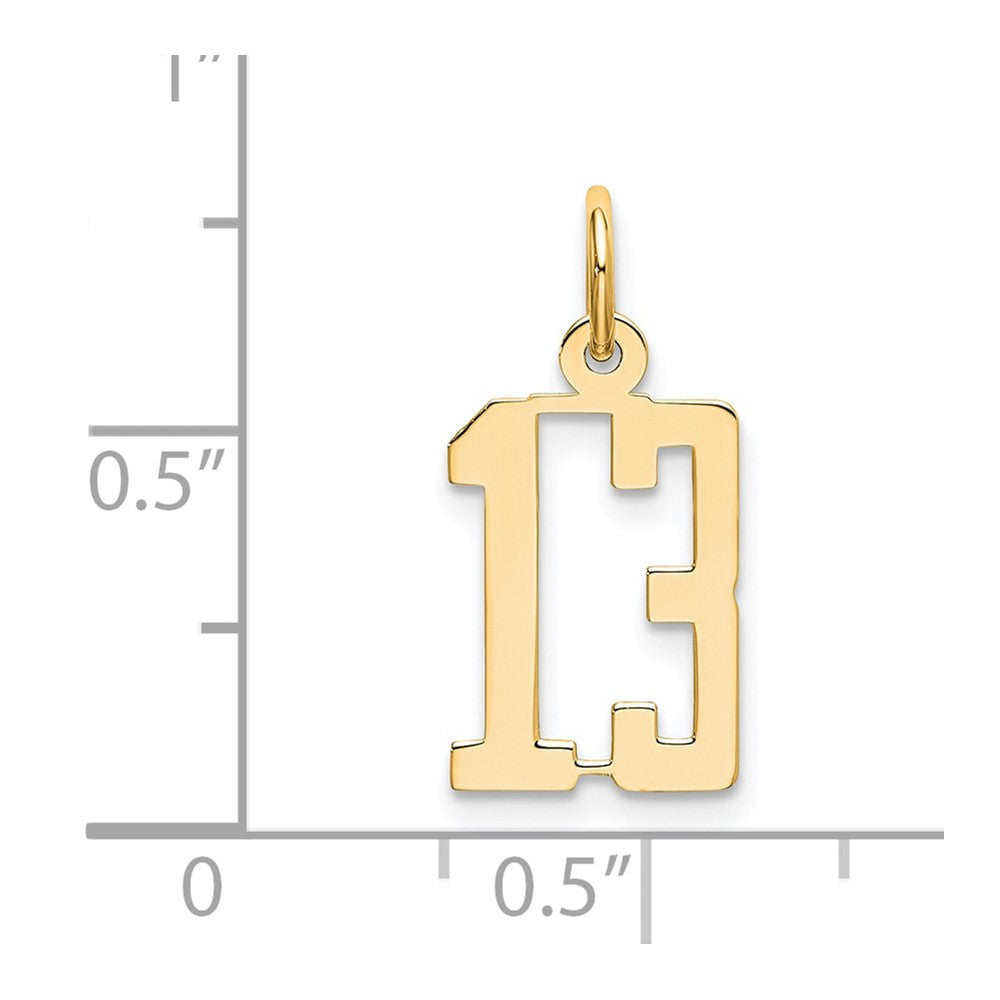 14K Yellow Gold Small Elongated Number 13 Charm