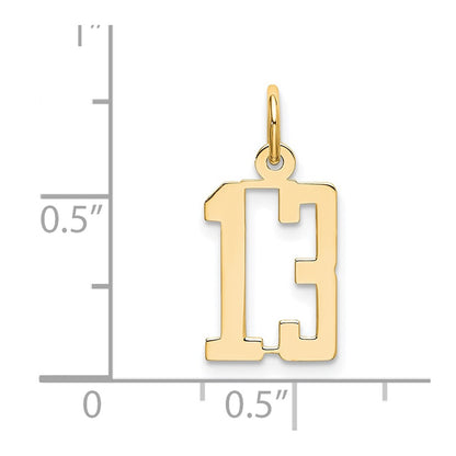 14K Yellow Gold Small Elongated Number 13 Charm