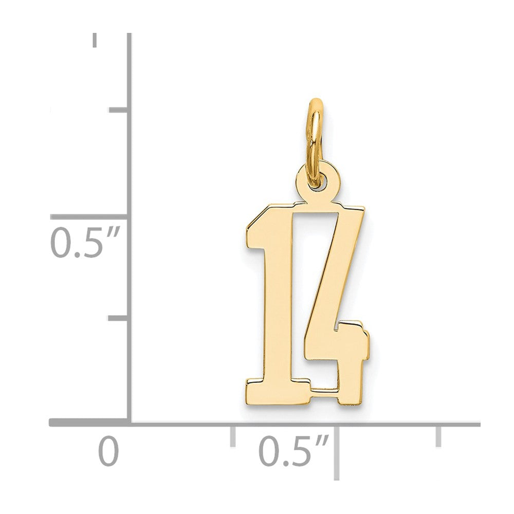 14K Yellow Gold Small Elongated Number 14 Charm
