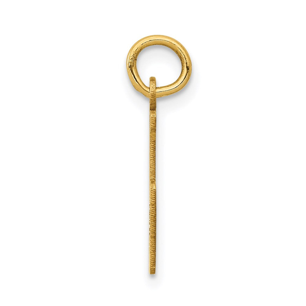 14K Yellow Gold Small Elongated Number 15 Charm